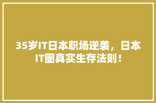 35岁IT日本职场逆袭，日本IT圈真实生存法则！