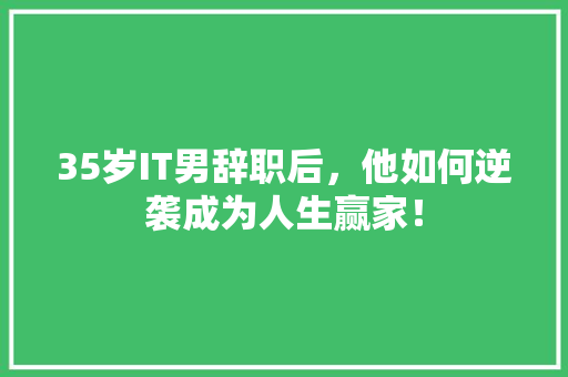 35岁IT男辞职后，他如何逆袭成为人生赢家！