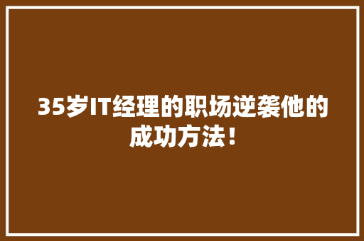 35岁IT经理的职场逆袭他的成功方法！