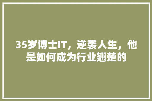 35岁博士IT，逆袭人生，他是如何成为行业翘楚的