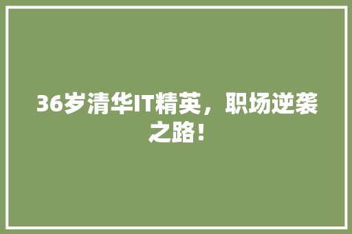 36岁清华IT精英，职场逆袭之路！