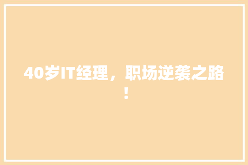 40岁IT经理，职场逆袭之路！