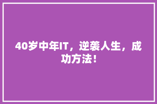 40岁中年IT，逆袭人生，成功方法！