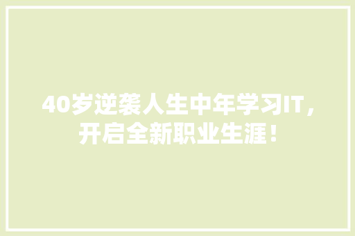 40岁逆袭人生中年学习IT，开启全新职业生涯！ 百度SEO