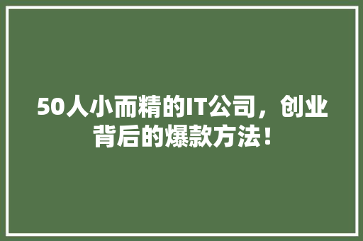 50人小而精的IT公司，创业背后的爆款方法！