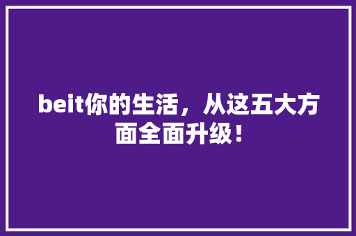 beit你的生活，从这五大方面全面升级！ 必应SEO