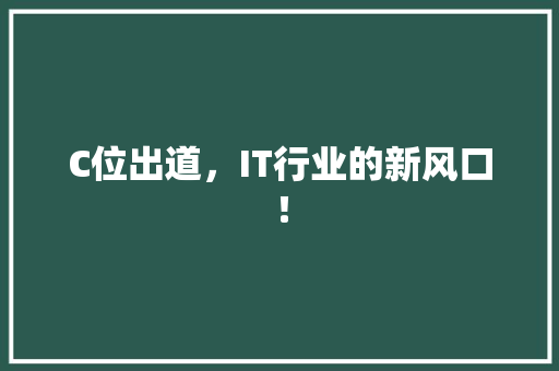 C位出道，IT行业的新风口！