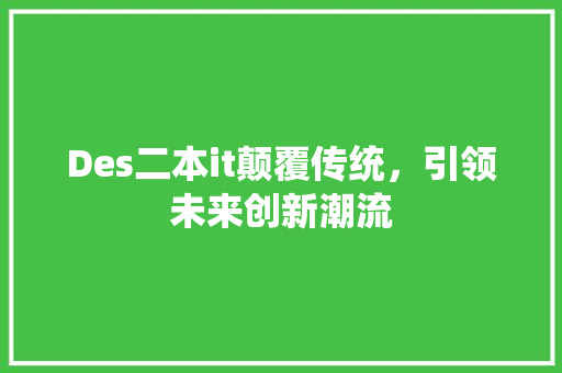 Des二本it颠覆传统，引领未来创新潮流 神马SEO