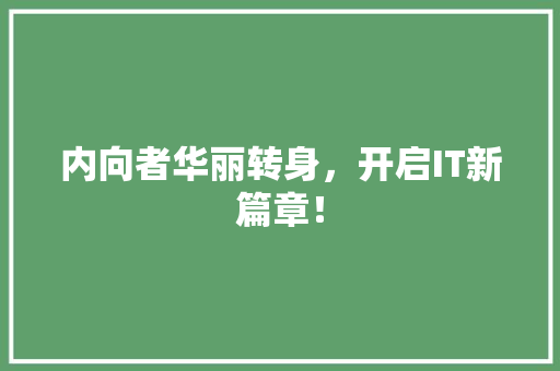 内向者华丽转身，开启IT新篇章！ GoogleSEO