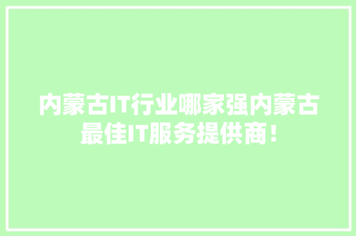 内蒙古IT行业哪家强内蒙古最佳IT服务提供商！