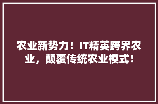 农业新势力！IT精英跨界农业，颠覆传统农业模式！
