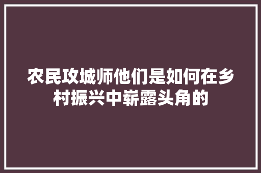 农民攻城师他们是如何在乡村振兴中崭露头角的