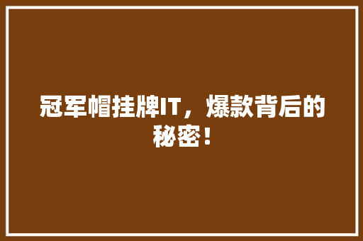 冠军帽挂牌IT，爆款背后的秘密！