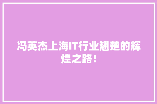 冯英杰上海IT行业翘楚的辉煌之路！