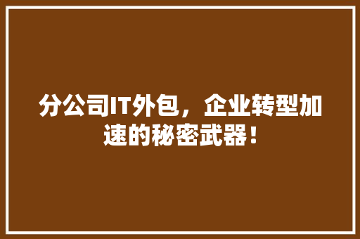 分公司IT外包，企业转型加速的秘密武器！
