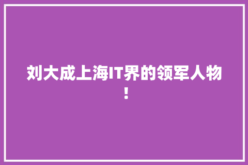 刘大成上海IT界的领军人物！ 搜狗SEO