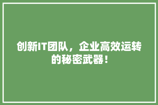 创新IT团队，企业高效运转的秘密武器！ 搜狗SEO