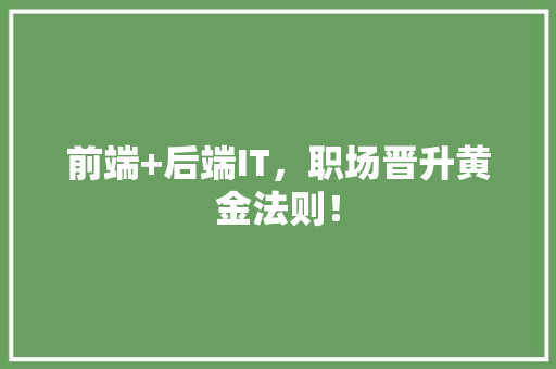 前端+后端IT，职场晋升黄金法则！