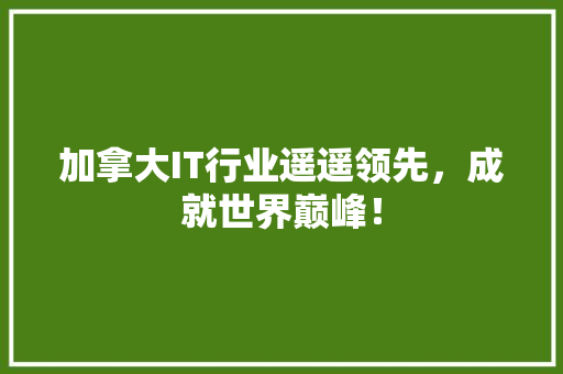 加拿大IT行业遥遥领先，成就世界巅峰！