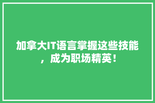 加拿大IT语言掌握这些技能，成为职场精英！ 必应SEO