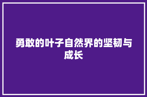 勇敢的叶子自然界的坚韧与成长