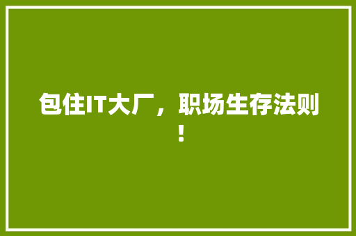 包住IT大厂，职场生存法则！