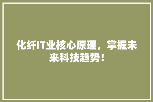 化纤IT业核心原理，掌握未来科技趋势！