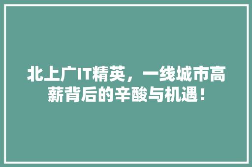 北上广IT精英，一线城市高薪背后的辛酸与机遇！