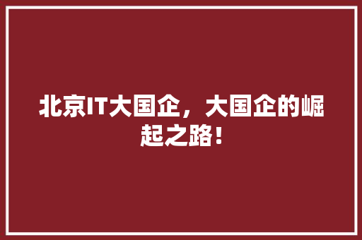 北京IT大国企，大国企的崛起之路！