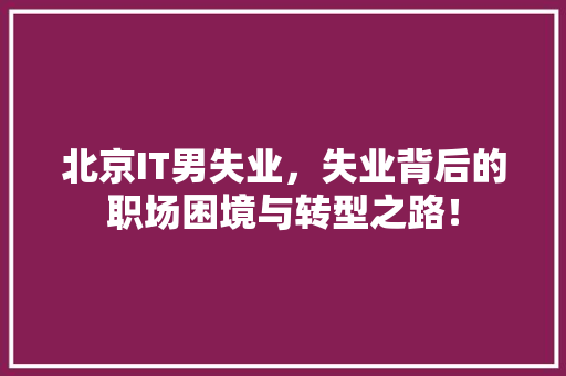北京IT男失业，失业背后的职场困境与转型之路！