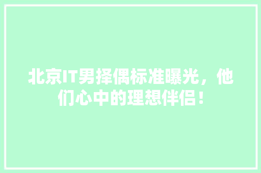 北京IT男择偶标准曝光，他们心中的理想伴侣！