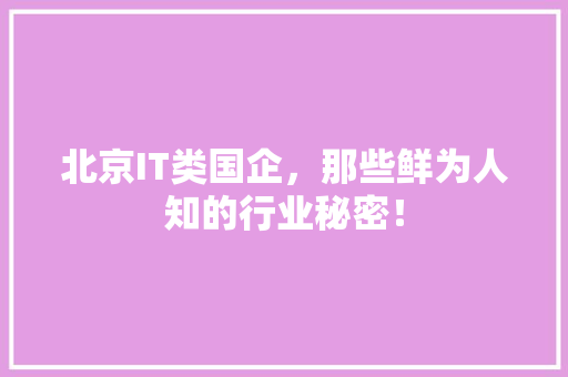北京IT类国企，那些鲜为人知的行业秘密！