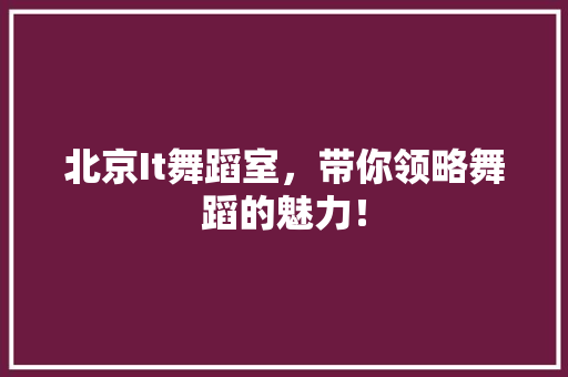北京It舞蹈室，带你领略舞蹈的魅力！