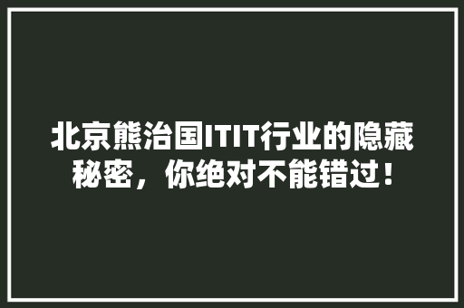 北京熊治国ITIT行业的隐藏秘密，你绝对不能错过！