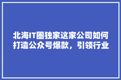北海IT圈独家这家公司如何打造公众号爆款，引领行业潮流