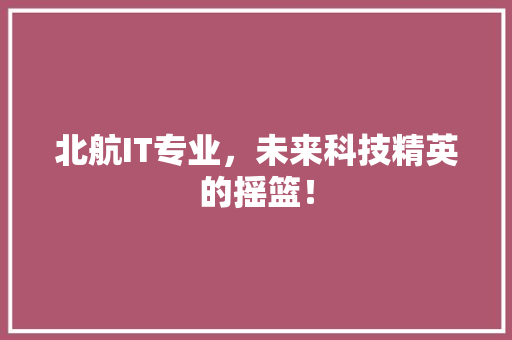 北航IT专业，未来科技精英的摇篮！