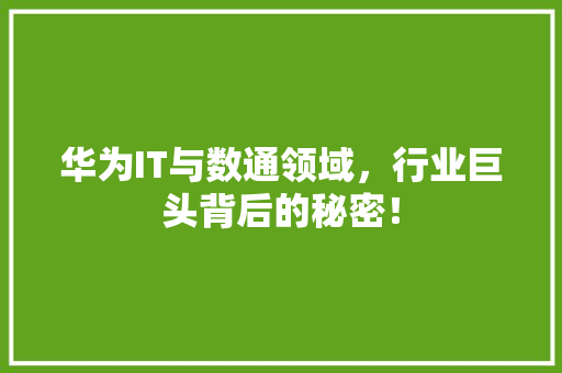 华为IT与数通领域，行业巨头背后的秘密！