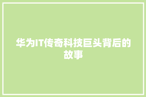 华为IT传奇科技巨头背后的故事