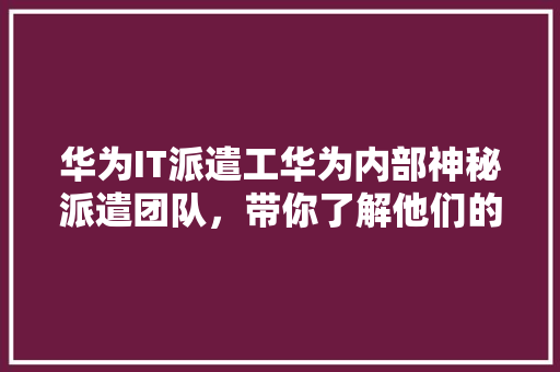 华为IT派遣工华为内部神秘派遣团队，带你了解他们的真实工作状态！