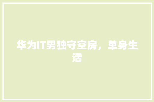 华为IT男独守空房，单身生活