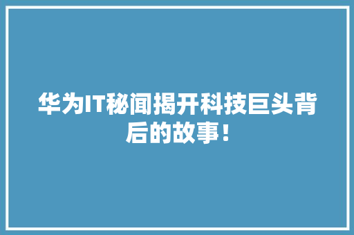 华为IT秘闻揭开科技巨头背后的故事！