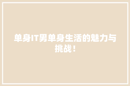 单身IT男单身生活的魅力与挑战！ 神马SEO