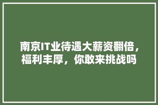 南京IT业待遇大薪资翻倍，福利丰厚，你敢来挑战吗