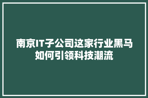 南京IT子公司这家行业黑马如何引领科技潮流 必应SEO