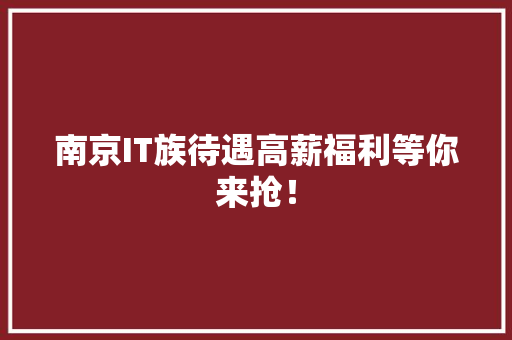 南京IT族待遇高薪福利等你来抢！
