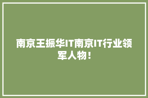 南京王振华IT南京IT行业领军人物！