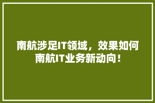南航涉足IT领域，效果如何南航IT业务新动向！