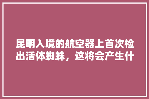 昆明入境的航空器上首次检出活体蜘蛛，这将会产生什么样的影响「为什么要屏蔽蜘蛛网」