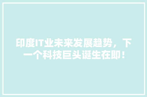 印度IT业未来发展趋势，下一个科技巨头诞生在即！