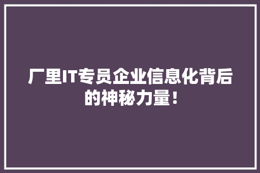 厂里IT专员企业信息化背后的神秘力量！